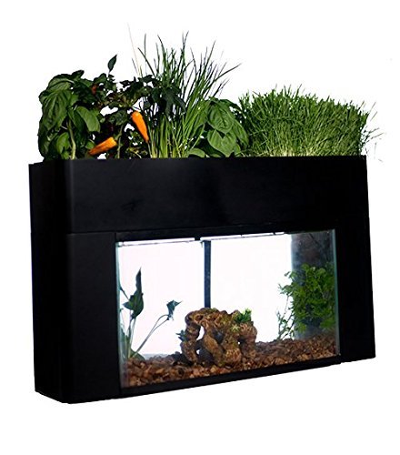 AquaSprouts Garden