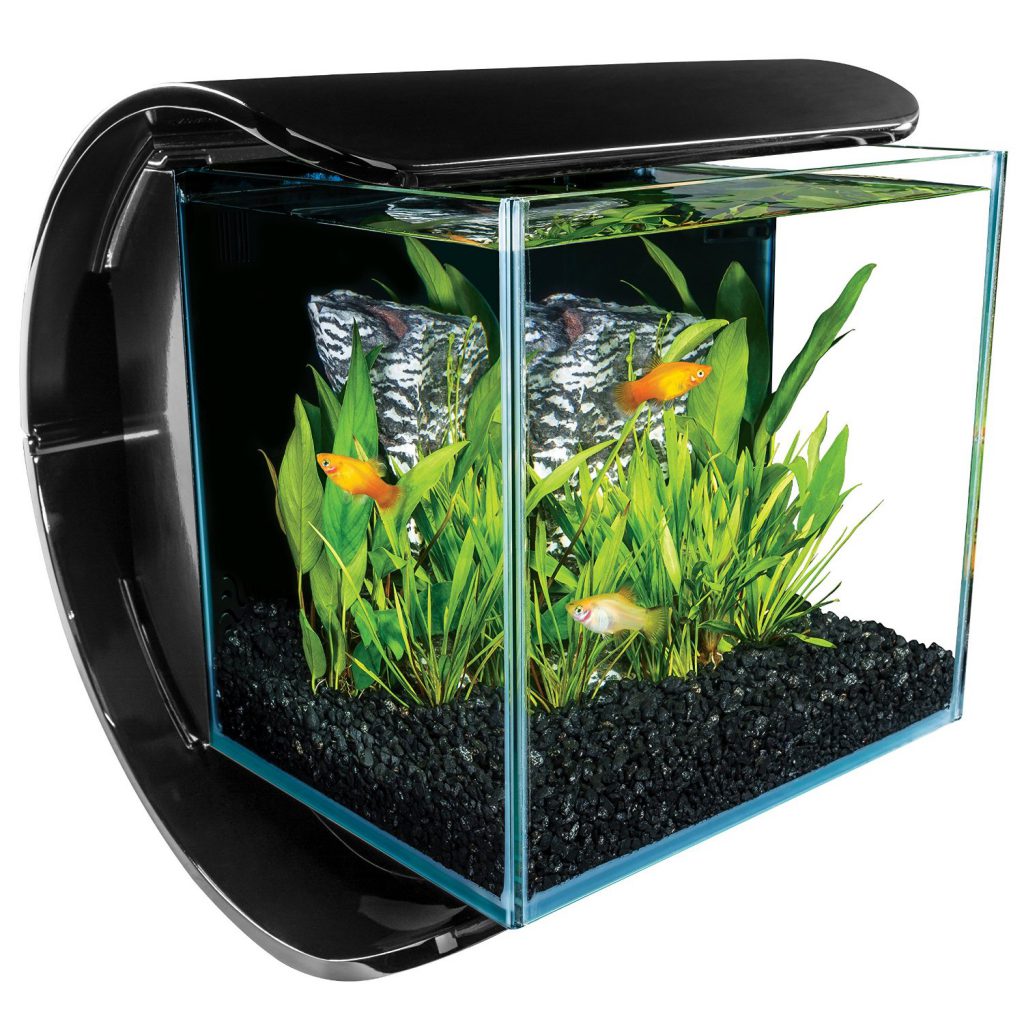 Square Glass Aquarium