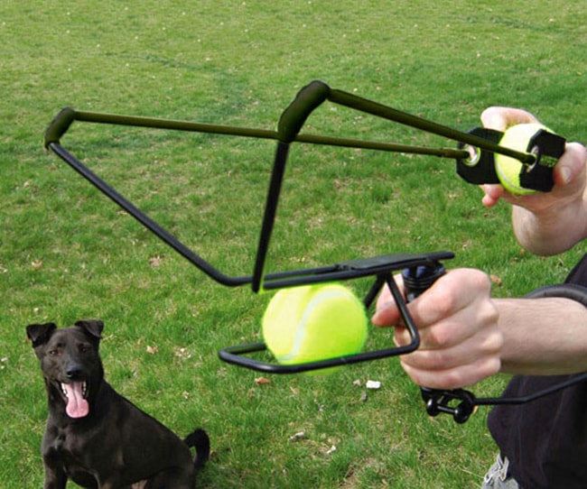 Pet Ball Launcher Slingshot