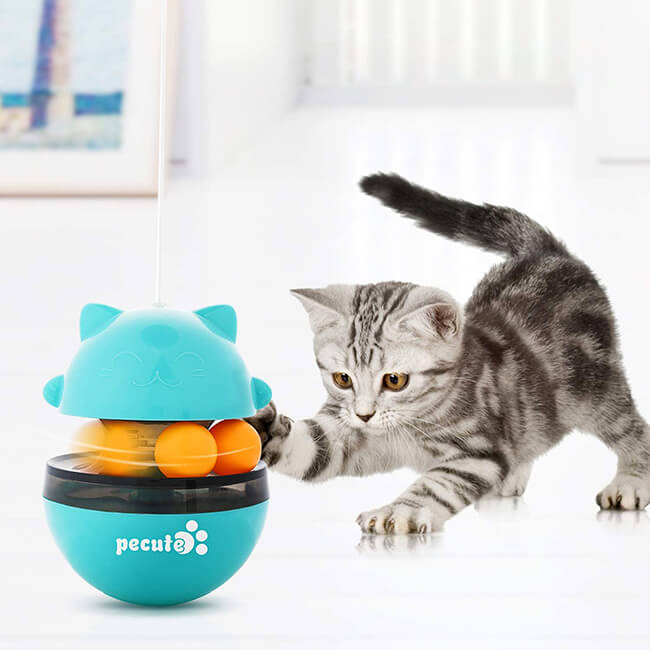 Interactive Cat Toys 4 IN 1